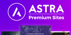 Astra Pro v4.8.11 + Astra Premium Starter Templates v4.4.40 Nulled