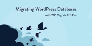 WP Migrate DB Pro Pack v2.7.5 - WordPress Plugin Download