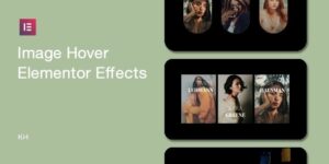 Image Hover Elements for Elementor v1.0.7 - WordPress Plugin