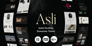 Asli v1.9.9 – AJAX Portfolio Elementor WordPress Theme