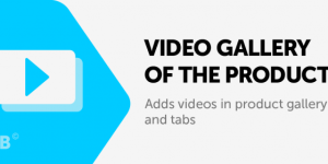 Cs-Cart Video gallery of the product Addon v3.7.1