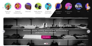 Flynax General Fusion Template v4.10.1