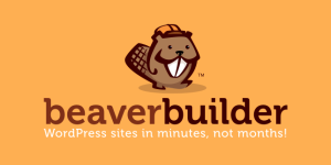 Beaver Builder v1.7.20 - WordPress Theme