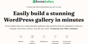 Envira Gallery v1.16.0 - Wordpress Gallery Plugin + Addons